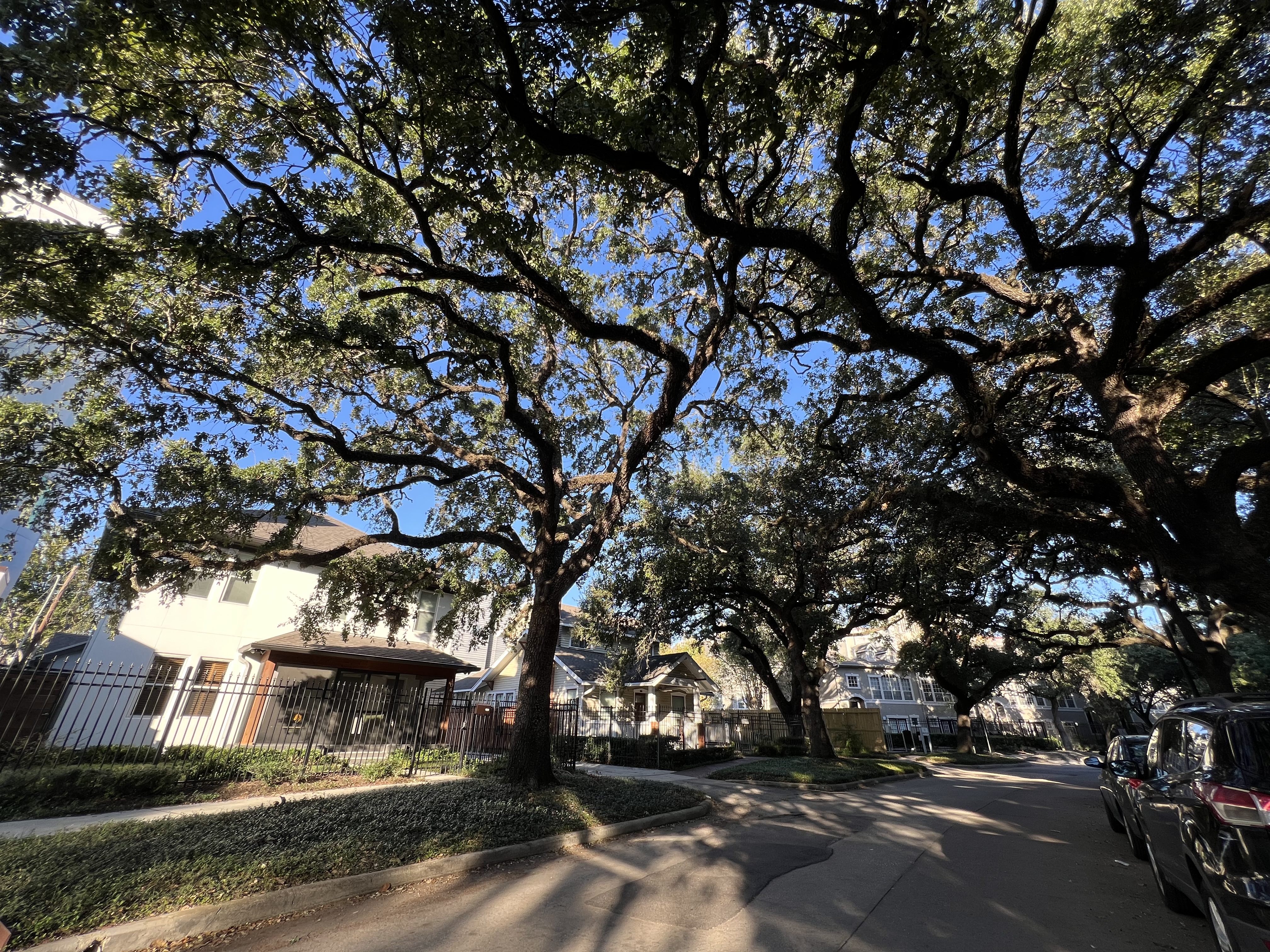 Street view